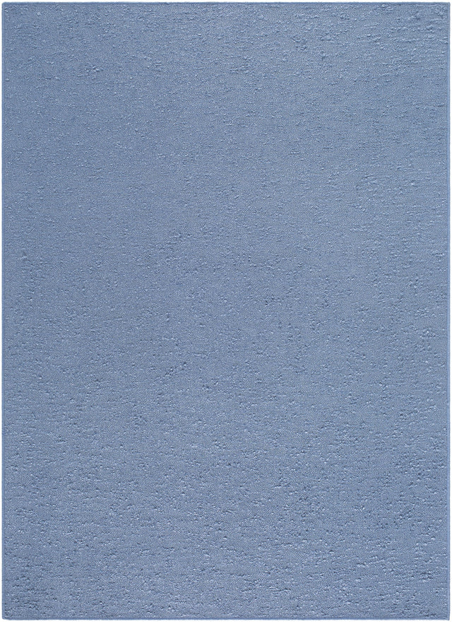 Surya Lush LSH-2305 27" x 45" Rug