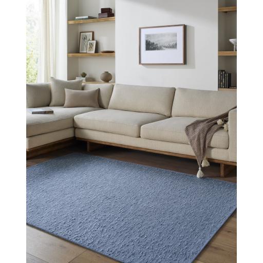 Surya Lush LSH-2305 27" x 45" Rug