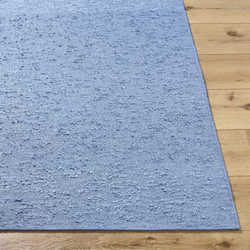 Surya Lush LSH-2305 27" x 45" Rug