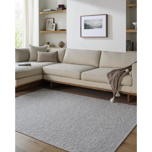 Surya Lush LSH-2307 2' x 3' Rug