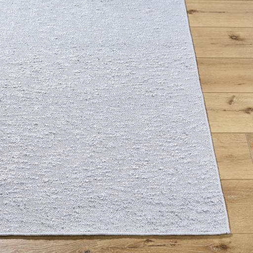 Surya Lush LSH-2307 2' x 3' Rug