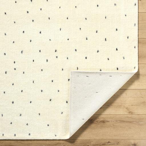 Surya Wooly WOL-2303 2' x 3' Rug