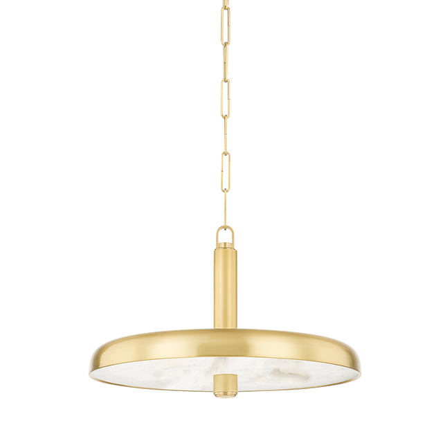 Hudson Valley Lighting Reynolds Aged Brass 19.75W x 19.75L x 12.5H Pendant