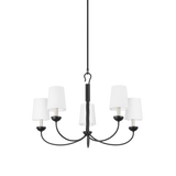 Hudson Valley Lighting MONTPELIER Aged Iron 34W x 34L x 21.25H Chandelier