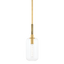 Hudson Valley Lighting Lenox Hill Aged Brass 8W x 8L x 25H Pendant