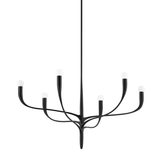 Hudson Valley Lighting Labra Aged Iron 36.75W x 36.75L x 20H Chandelier