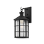 Troy Lighting Lake County FRENCH IRON 8W x 8L x 14.75H Wall Sconce