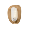 Troy Lighting Adler PATINA BRASS 9.75W x 9.75L x 12.5H Wall Sconce
