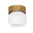 Troy Lighting Odin PATINA BRASS AND SOFT WHITE 5.5W x 5.5L x 5.5H Flush Mount