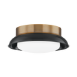 Troy Lighting Arnie PATINA BRASS 14.25W x 14.25L x 5.25H Flush Mount