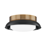 Troy Lighting Arnie PATINA BRASS 14.25W x 14.25L x 5.25H Flush Mount