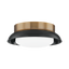 Troy Lighting Arnie PATINA BRASS 14.25W x 14.25L x 5.25H Flush Mount