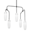 Troy Lighting Cyan SOFT BLACK 23W x 40.5L x 42.25H Chandelier