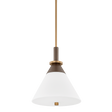 Troy Lighting Staton PATINA BRASS/BRONZE 16W x 16L x 19.5H Pendant