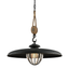 Troy Lighting Murphy FORGED IRON 32W x 33H Pendant