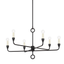 Troy Lighting Orson BLACK IRON 30.75W x 30.75L x 18.75H Chandelier