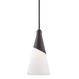 Mitzi Parker Black 5W x 9.5H Pendant