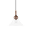 Mitzi Dani Aged Brass 14W x 13.5H Pendant