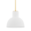 Mitzi Paloma Aged Brass 14W x 12.5H Pendant