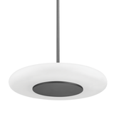 Hudson Valley Lighting Blyford Black Nickel 20.75W x 20.75L x 3.75H Pendant
