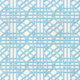 Brunschwig & Fils PAVILION TRELLIS AQUA Fabric
