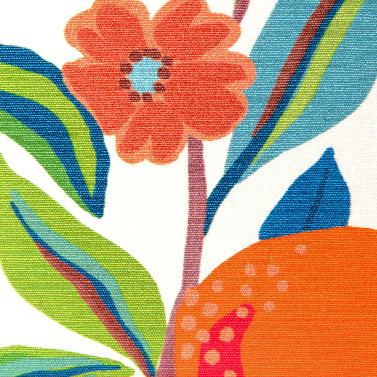 Brunschwig & Fils POMELO PRINT MULTI Fabric