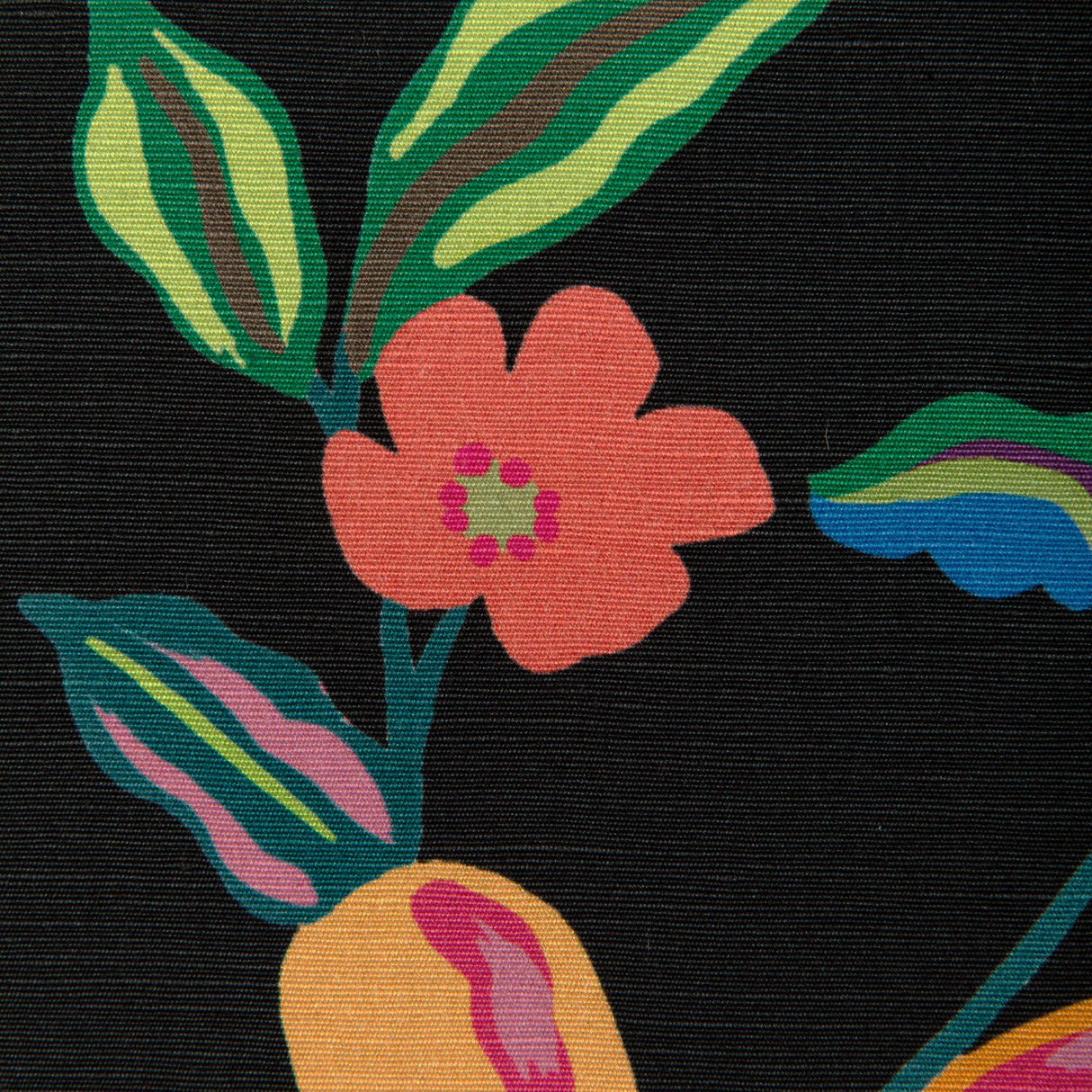 Brunschwig & Fils POMELO PRINT NOIR Fabric