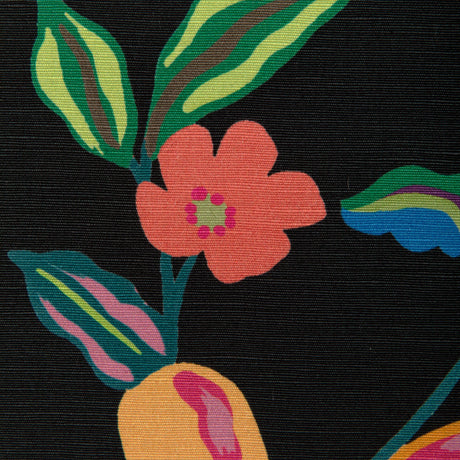 Brunschwig & Fils POMELO PRINT NOIR Fabric