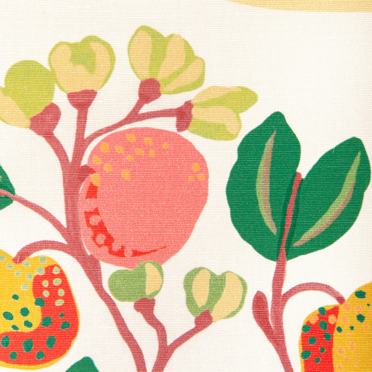 Brunschwig & Fils POMELO PRINT SPRING Fabric