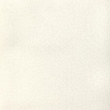 Brunschwig & Fils BRAMBLE EMB IVORY Drapery Fabric