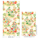 Brunschwig & Fils POMELO SPRING Wallpaper