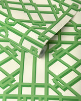 Brunschwig & Fils PAVILION TRELLIS LEAF Wallpaper