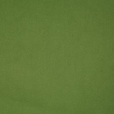 Pindler FLORENTINA MEADOW Fabric
