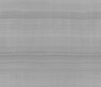 Thibaut NABUCCO Beige Wallpaper