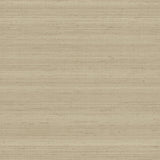 Thibaut Seta Fiammata Taupe Wallpaper