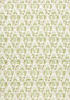 Anna French CORNWALL Green and Beige Fabric