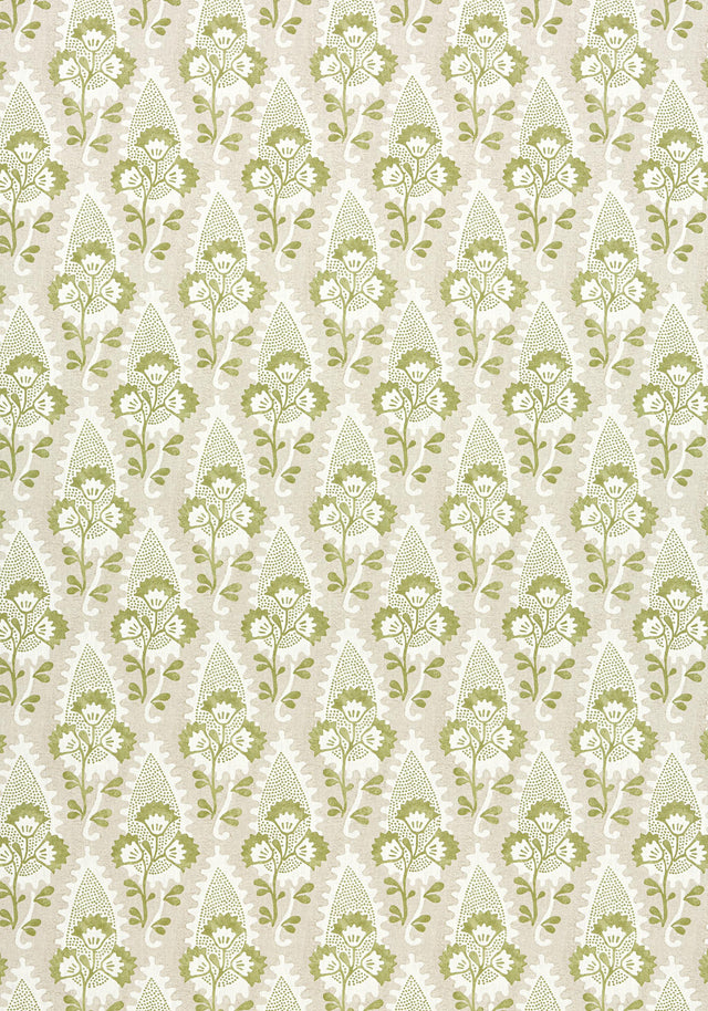 Anna French CORNWALL Green and Beige Fabric