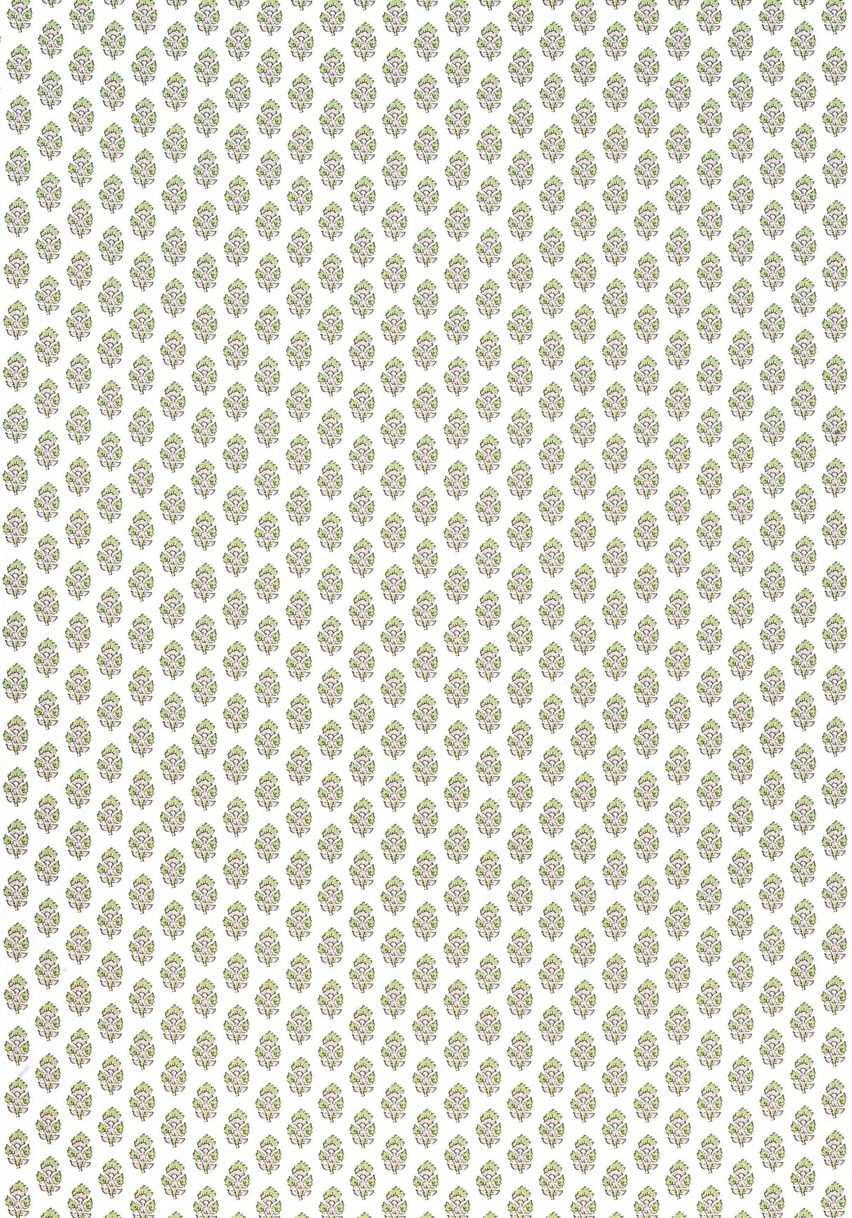 Anna French JULIAN Green and Beige Fabric
