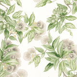 Anna French Camellia Garden Spring On White Fabric