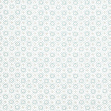 Anna French MINI SUN Robin's Egg Fabric