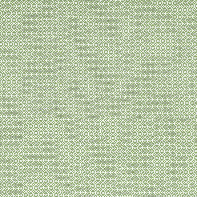 Anna French LINDSEY Green Fabric