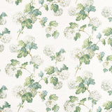 Anna French SUSSEX HYDRANGEA White and Green Fabric