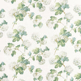 Anna French Sussex Hydrangea White And Green Fabric