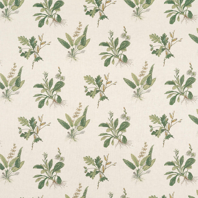 Anna French Woodland Green On Natural Fabric