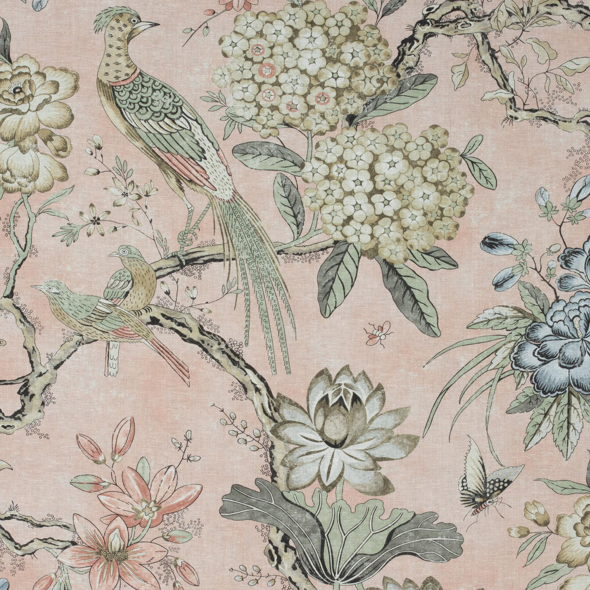 Anna French Villeneuve Blush Fabric