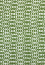 Anna French PETIT ARBRE Green on White Fabric