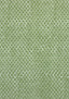 Anna French PETIT ARBRE Green on White Fabric