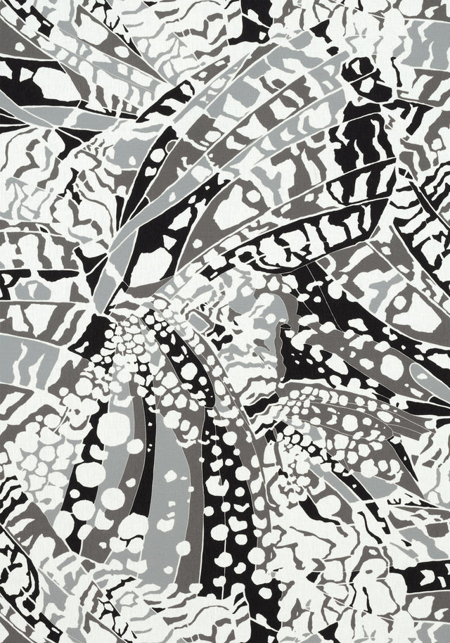 Anna French PUCCINI Black Fabric