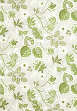 Anna French INDIENNE HAZEL Green and Beige Wallpaper