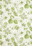 Anna French INDIENNE HAZEL Green and Beige Wallpaper
